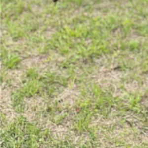 Meet your Posher, Joyce